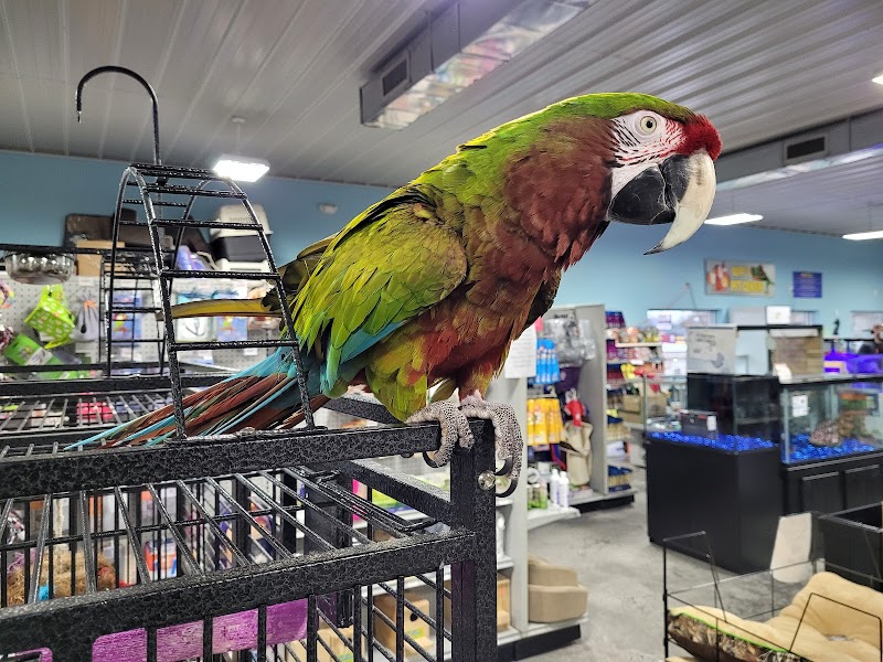 Bert's Pet Center - Photo 5