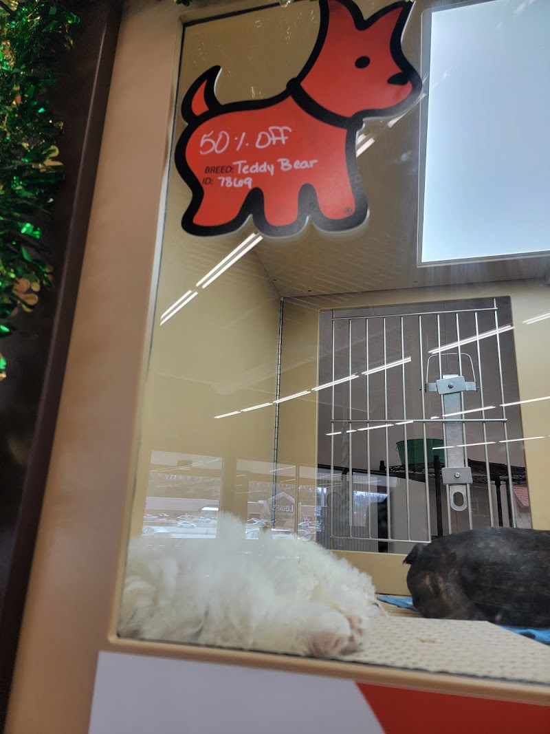 Petland Ashland - Photo 1