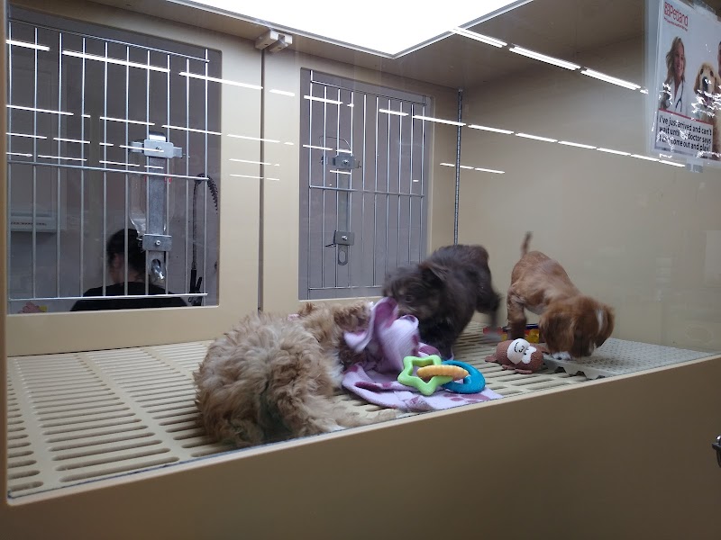 Petland Ashland - Photo 4