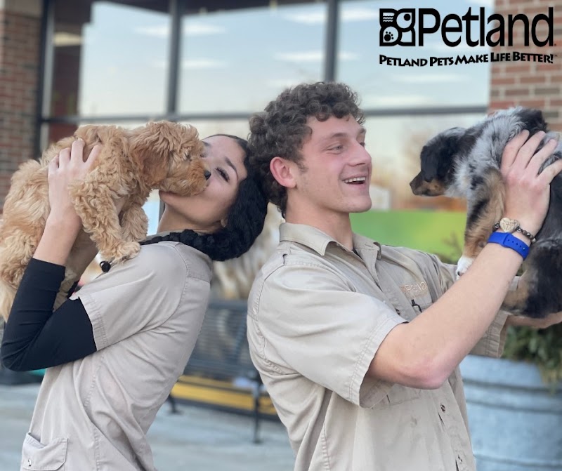 Petland Ashland - Photo 5