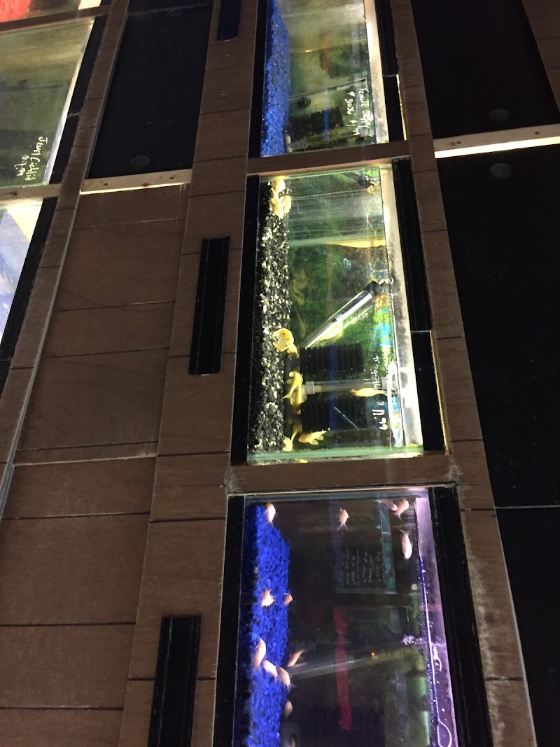 Inland Reef Pet Store - Photo 1