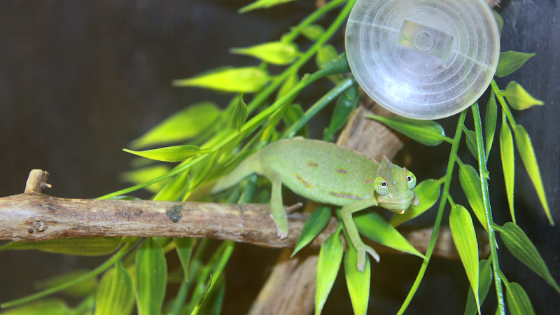 Inland Reef Pet Store - Photo 2