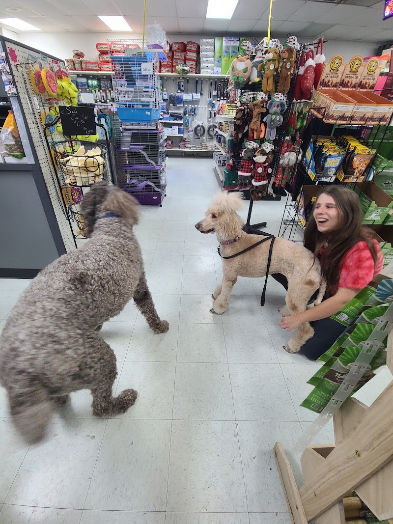 Inland Reef Pet Store - Photo 3