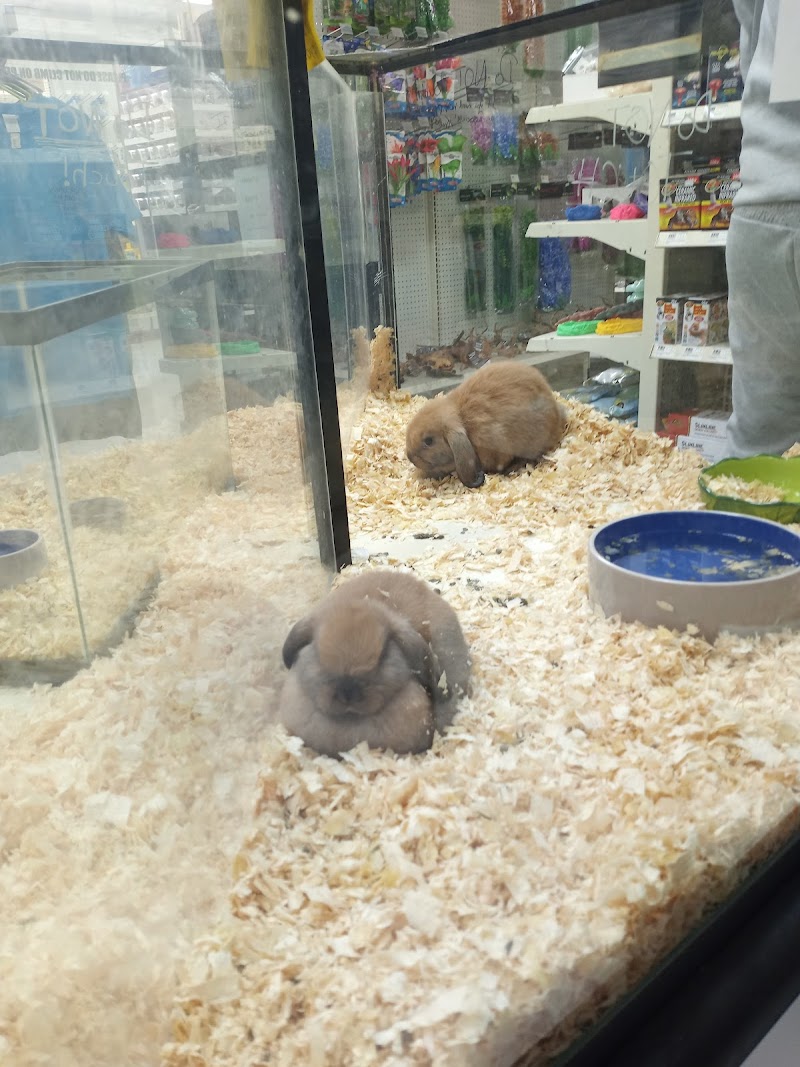 Inland Reef Pet Store - Photo 4