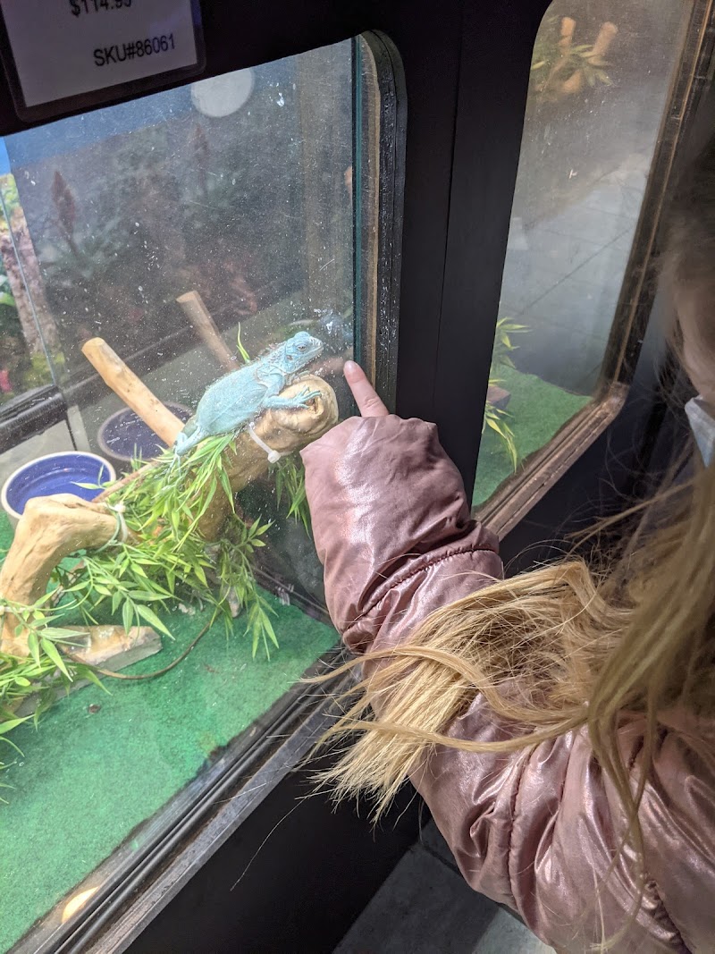 Inland Reef Pet Store - Photo 5