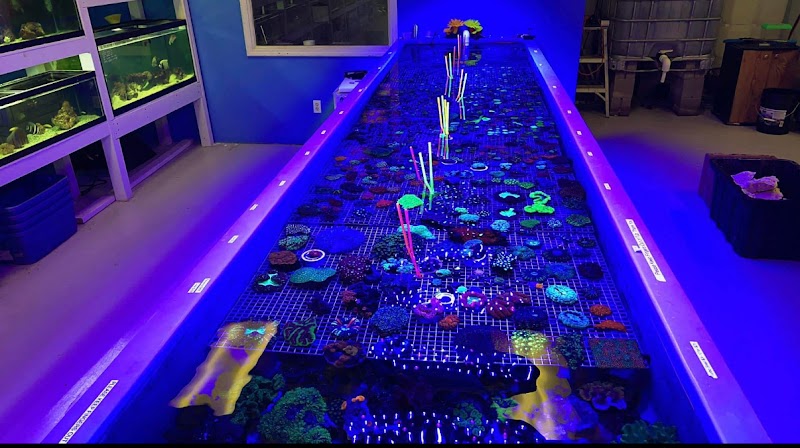 Discover Aquatics Shop - Photo 2