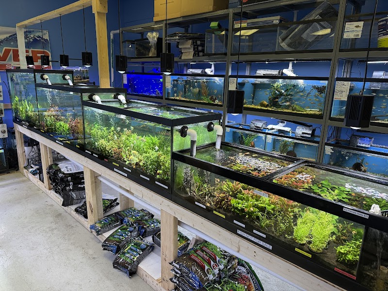 Discover Aquatics Shop - Photo 4