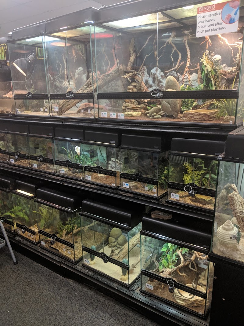 Petland South Point - Photo 1