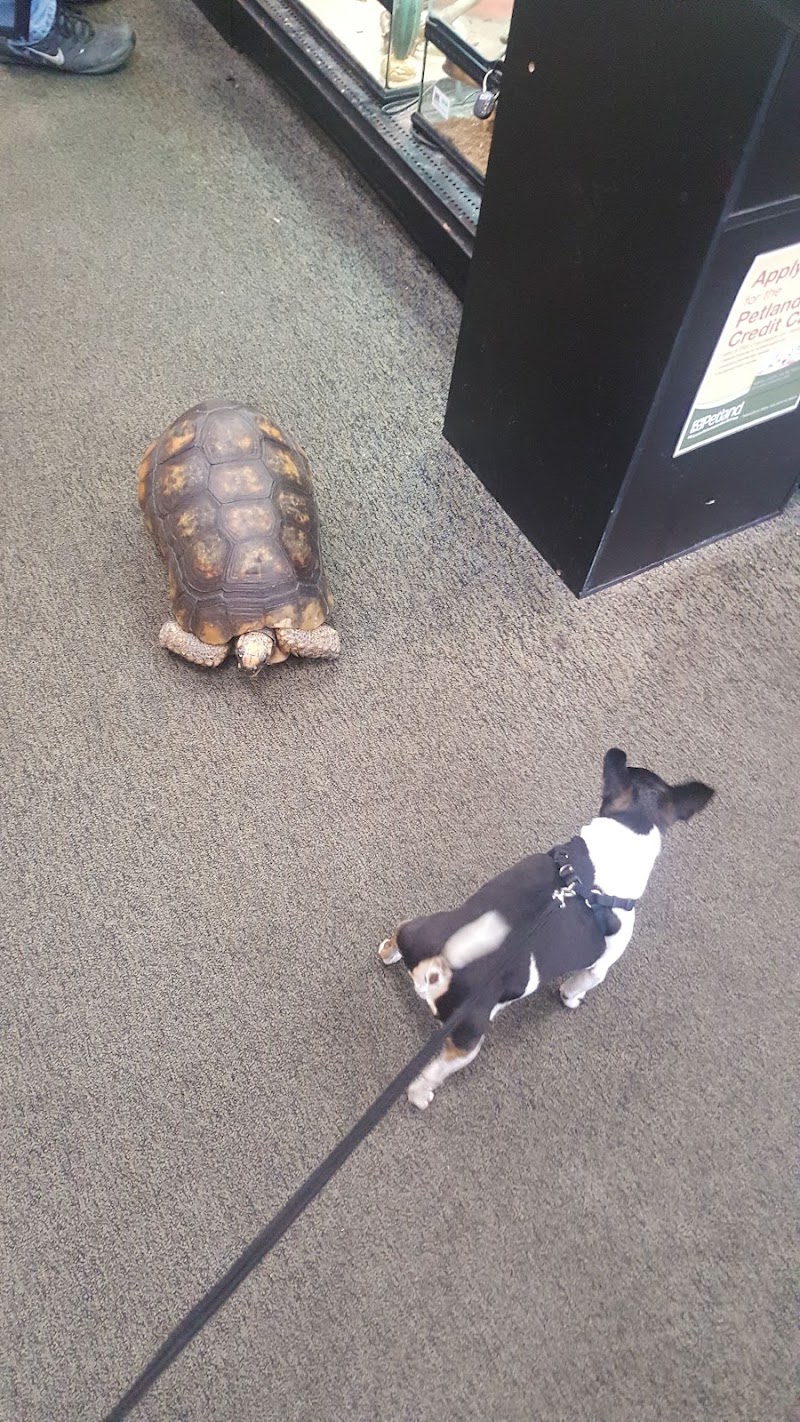 Petland South Point - Photo 2