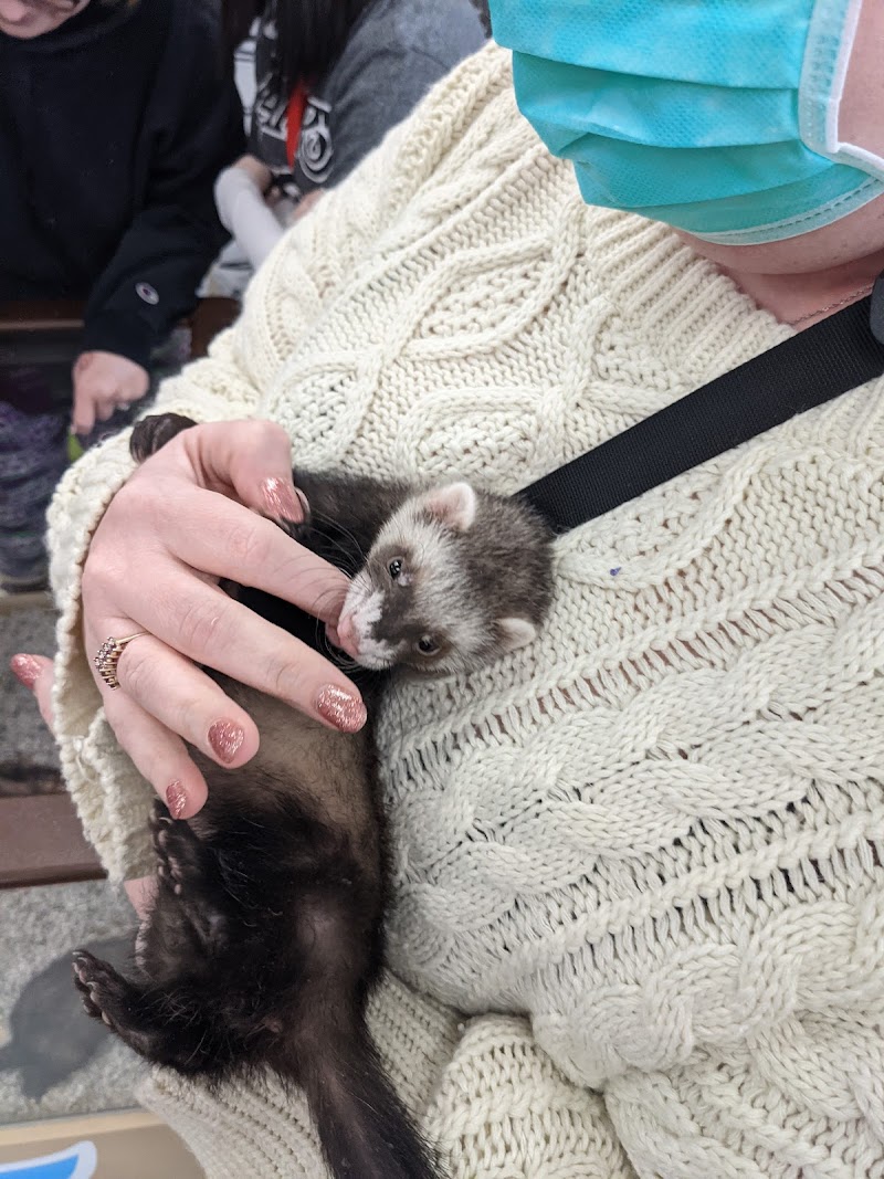 Petland South Point - Photo 3