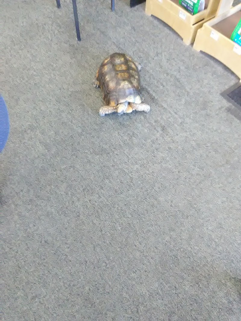 Petland South Point - Photo 4