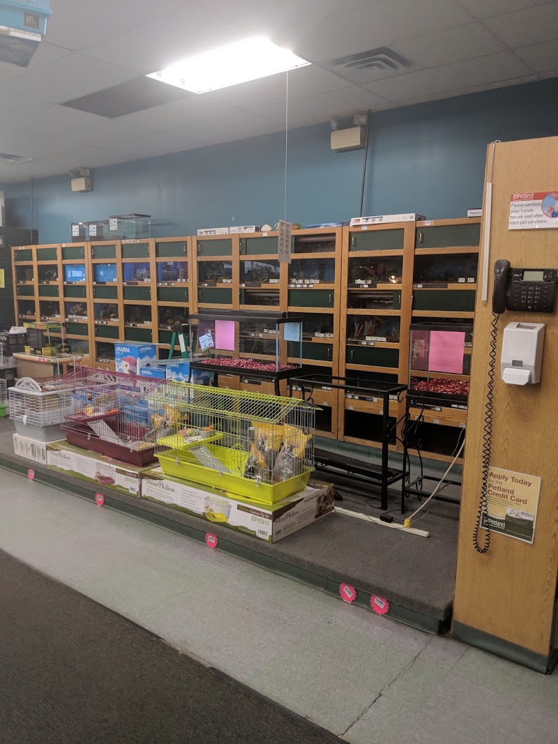 Petland South Point - Photo 5