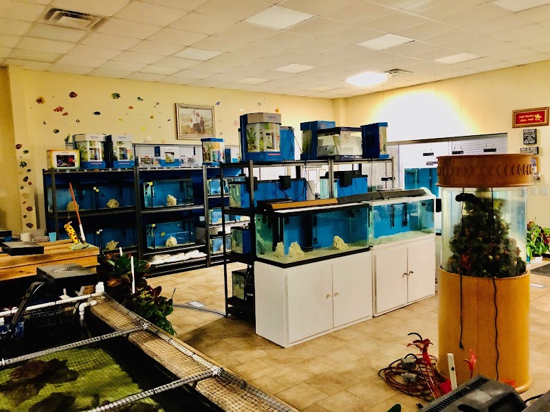 Trinh Fish & Corals - Photo 5