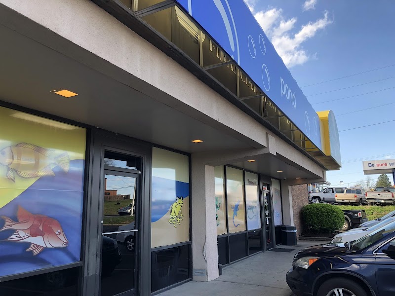 The Aquatic Critter - Photo 1