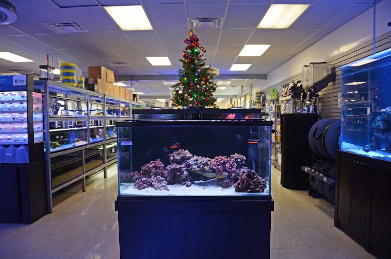 The Aquatic Critter - Photo 3