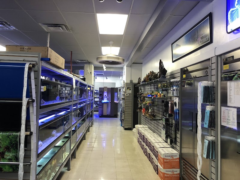 The Aquatic Critter - Photo 4