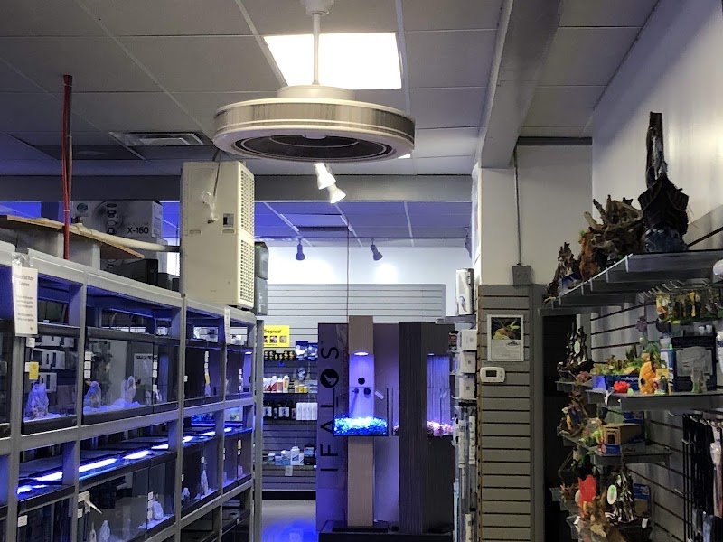 The Aquatic Critter - Photo 5