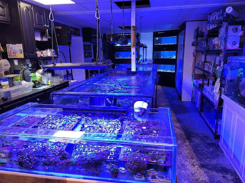 Bourbon Country Corals, LLC - Photo 1