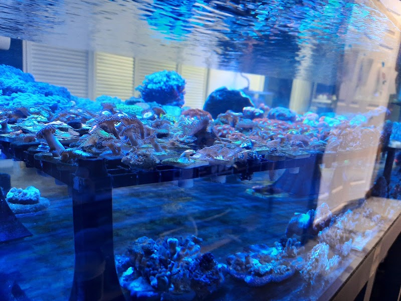 Bourbon Country Corals, LLC - Photo 4