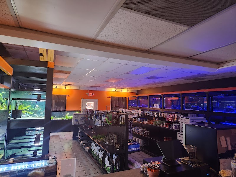 Music City Aquatics LLC - Photo 3