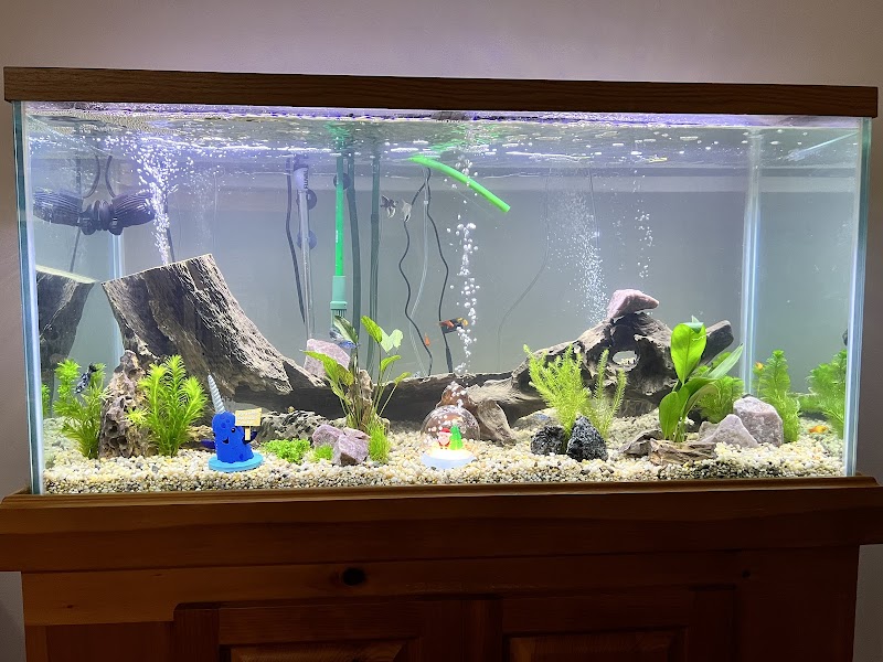 Music City Aquatics LLC - Photo 4