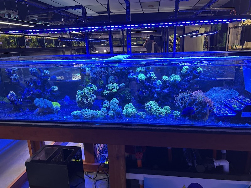 7 Seas Aquatics LLC - Photo 2