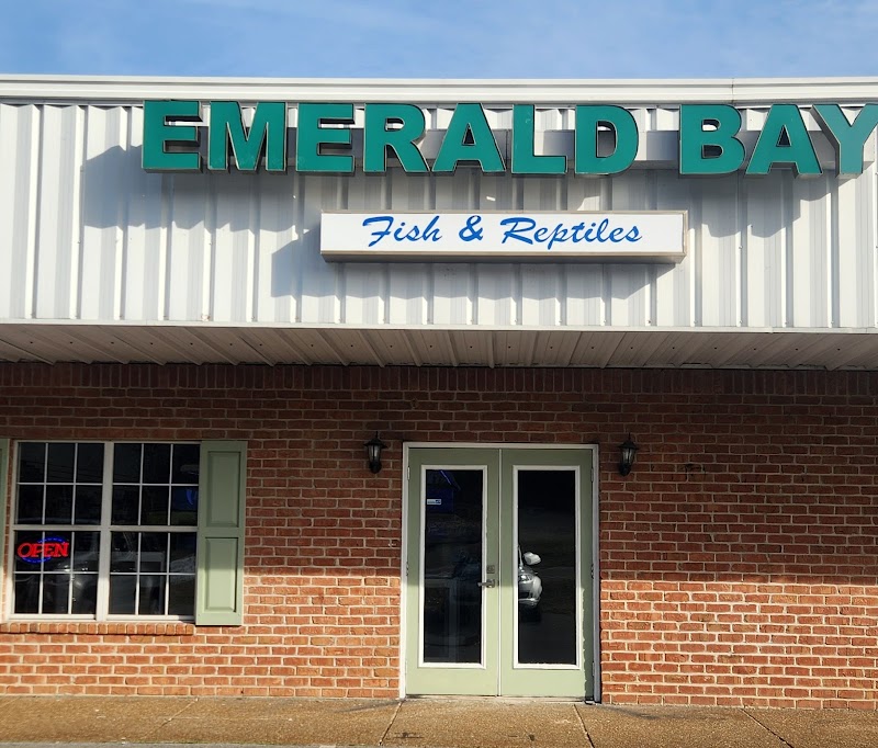 Emerald Bay Fish & Reptile - Photo 1