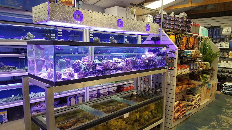 Emerald Bay Fish & Reptile - Photo 3