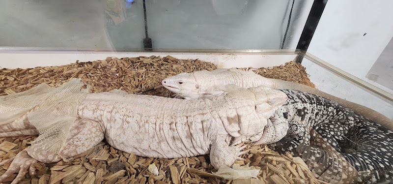 Emerald Bay Fish & Reptile - Photo 4