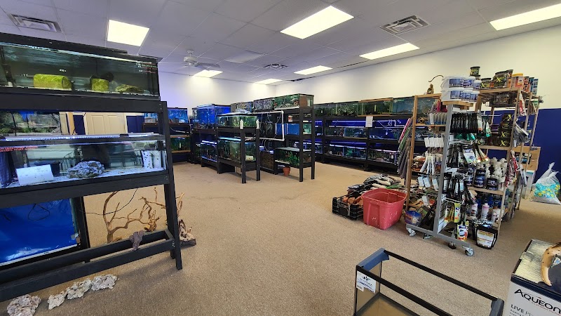 Blue Hook Aquatics - Photo 2