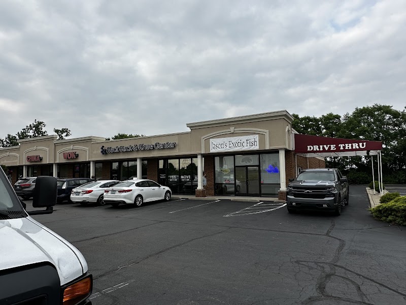 Jason's Plecos & Cichlids LLC - Photo 1