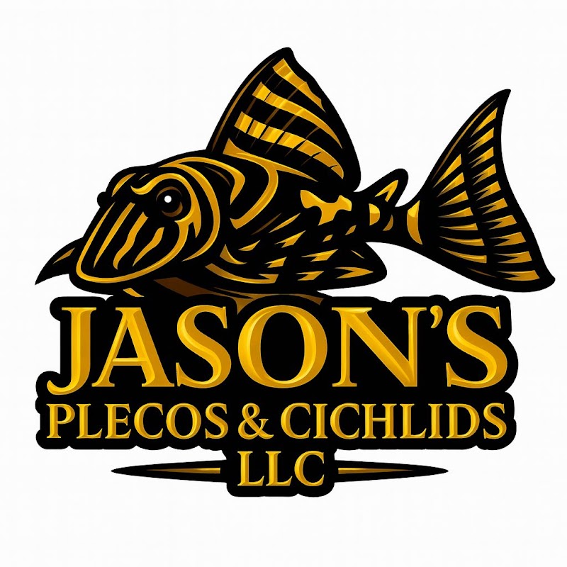 Jason's Plecos & Cichlids LLC - Photo 4