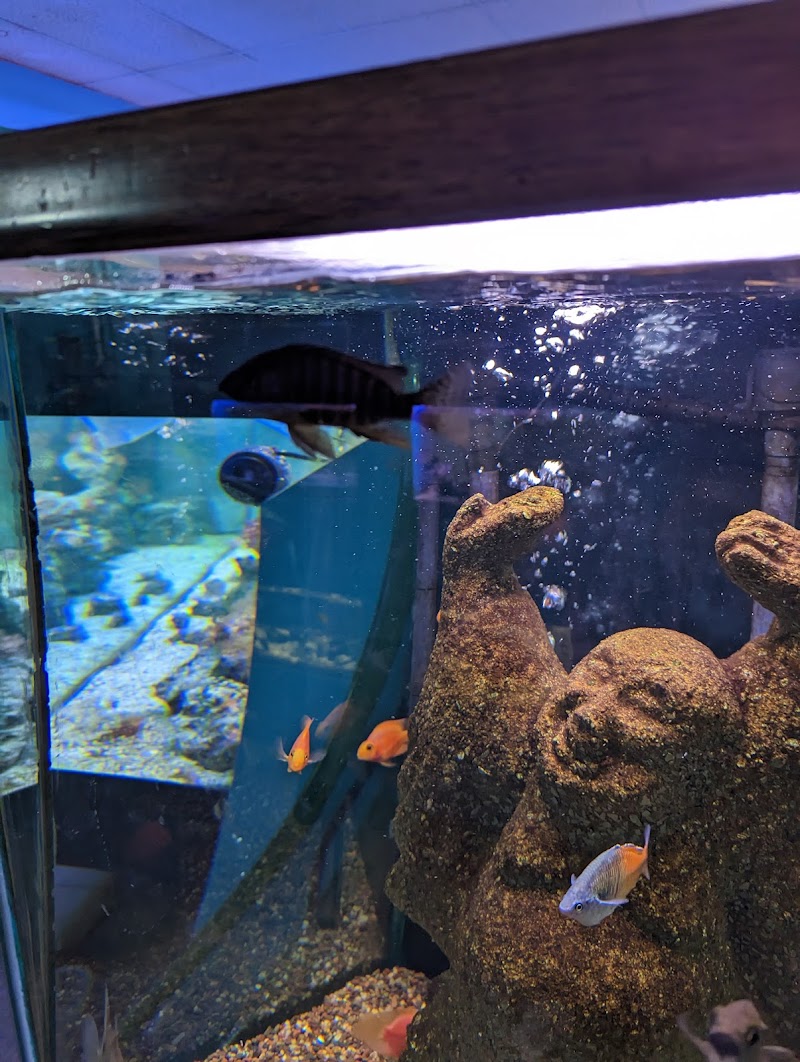 Monfort Aquarium & Pet - Photo 3