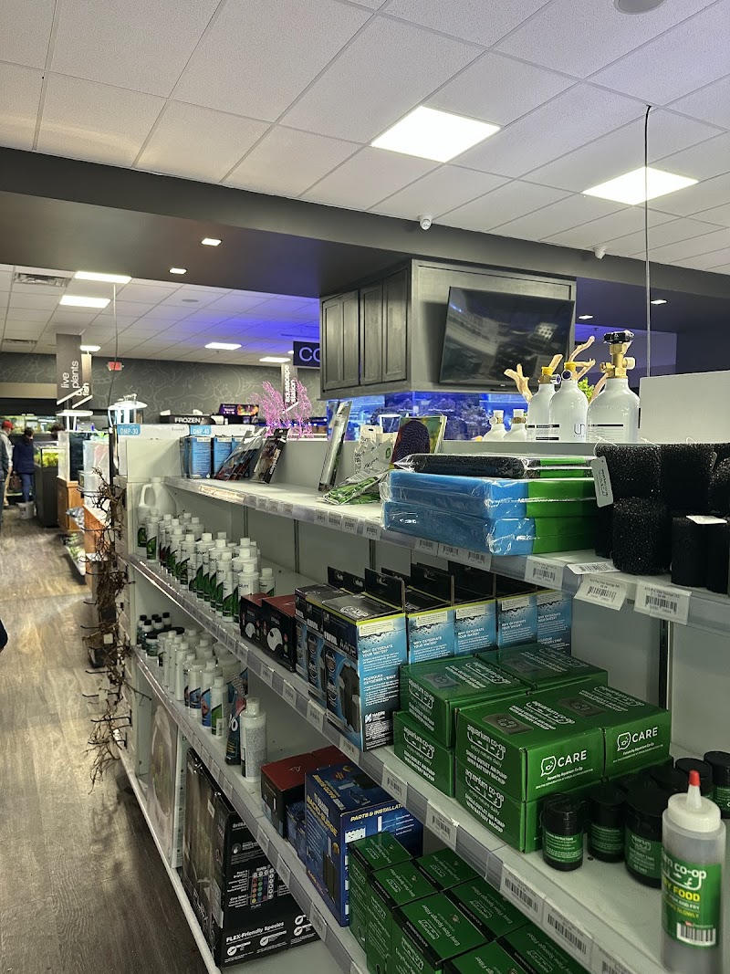 Aquarium Artisans - Photo 4