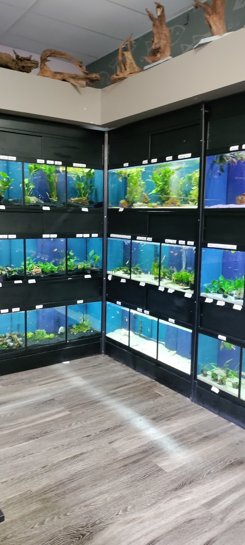 Aquarium Artisans - Photo 5