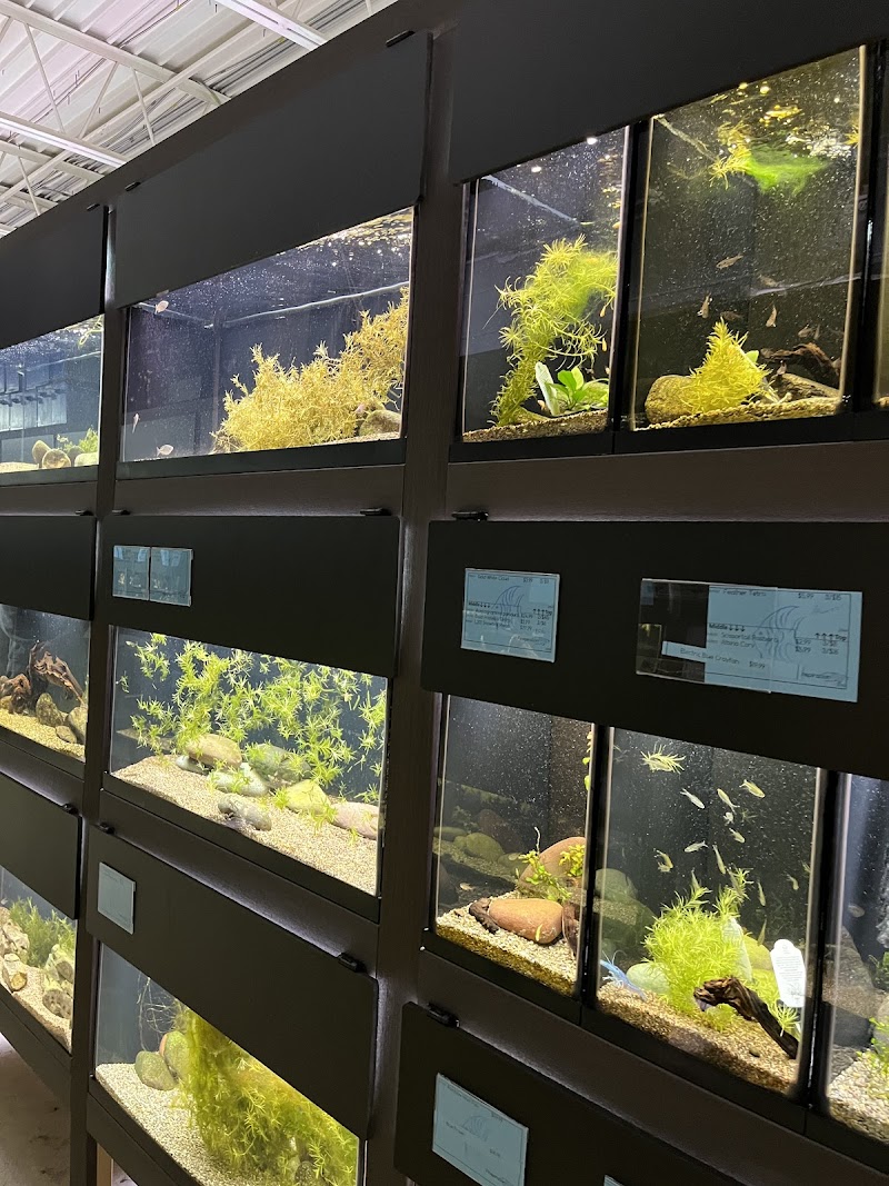 Finspiration Aquatics - Photo 2