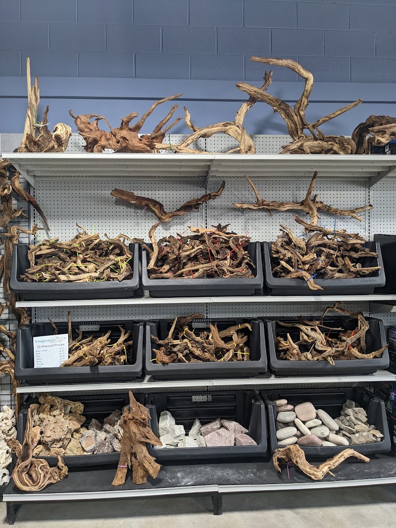 Finspiration Aquatics - Photo 4