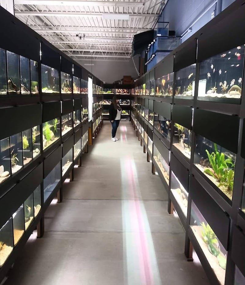 Finspiration Aquatics - Photo 5