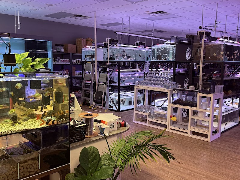 Fish World Aquarium - Photo 2