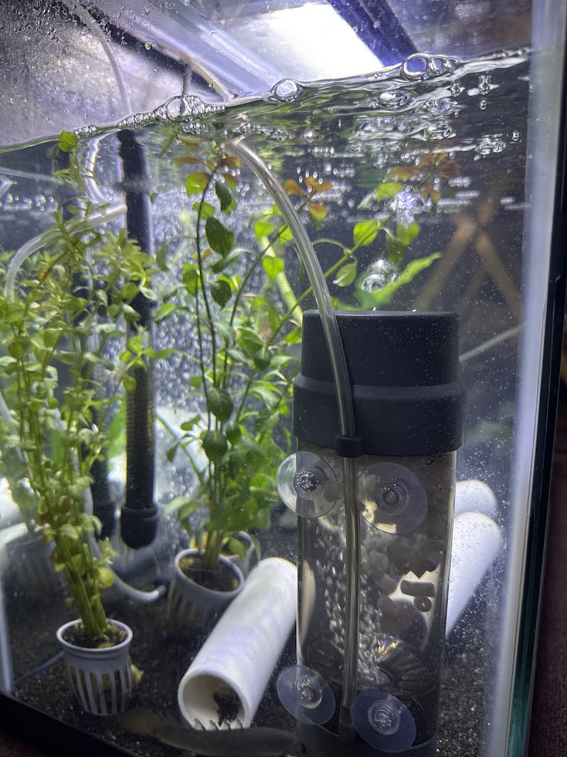 Fish World Aquarium - Photo 3