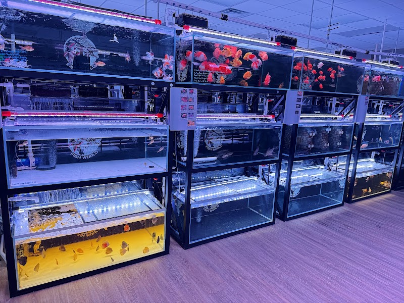 Fish World Aquarium - Photo 5