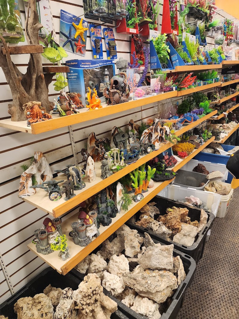 Movie Vault & PETropoliS - Photo 2