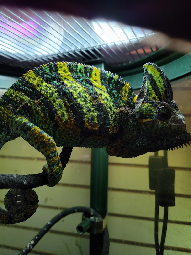 Movie Vault & PETropoliS - Photo 3