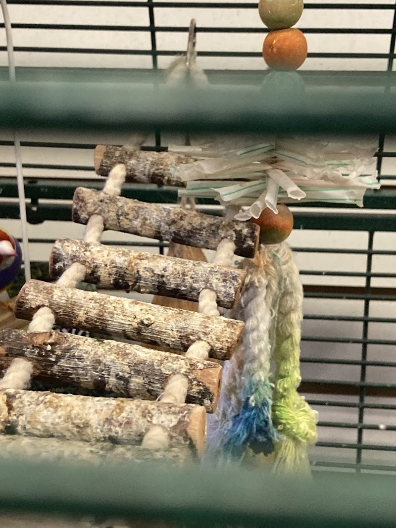 Movie Vault & PETropoliS - Photo 5