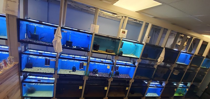 The Fish Room - Photo 2