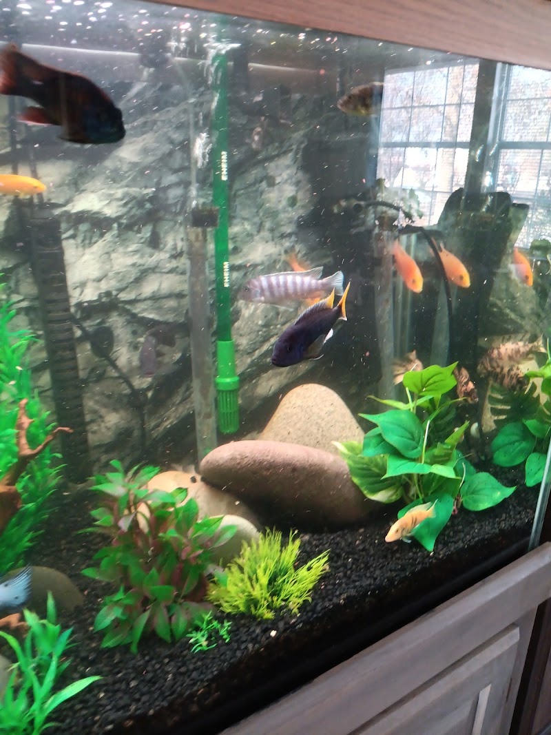 My Fish Doctor - Photo 2