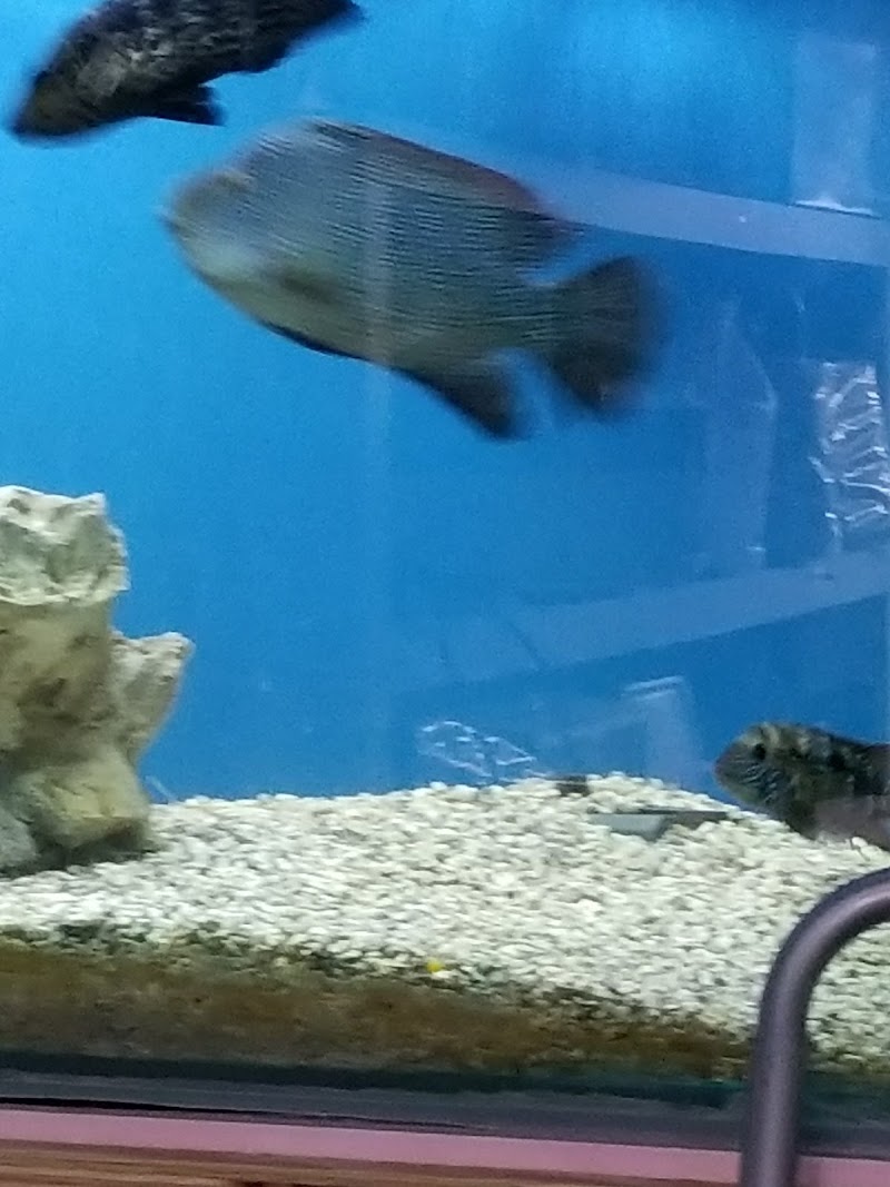 My Fish Doctor - Photo 4