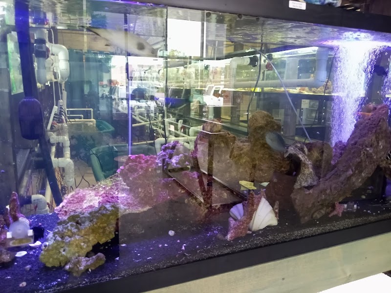 Aquatic Life & Exotics - Photo 4