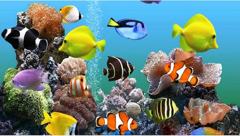 Aquatic Life & Exotics - Photo 5