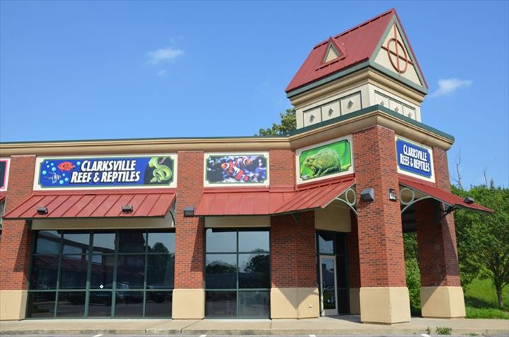Clarksville Reef & Reptiles - Photo 1